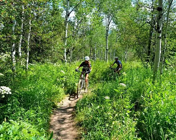 A father and daughter mountain bike through the Aspen trees in the Colorado Rocky Mountains.