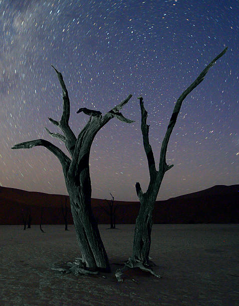 istock Two dead trees and the Milky Way 471894251