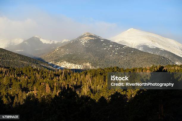 Parco Nazionale Delle Rocky Mountain - Fotografie stock e altre immagini di Abete - Abete, Ambientazione esterna, Bellezza naturale