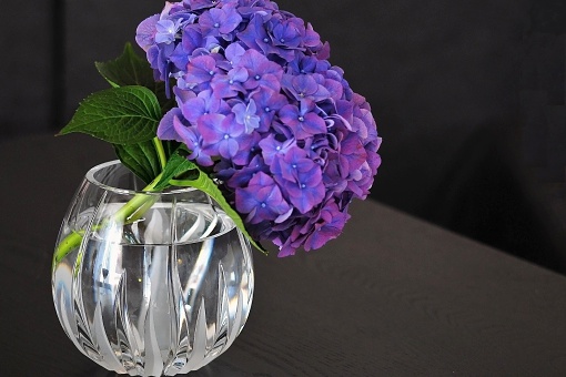 Violet bouquet in a crystal glass with water. Selective focus.
