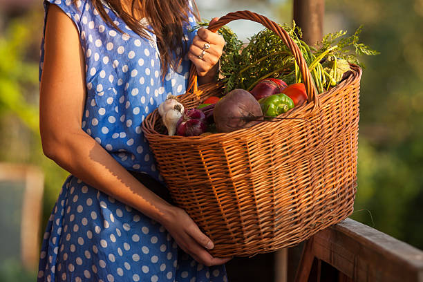 Woman holding basket of fresh organic vegetables stock photo