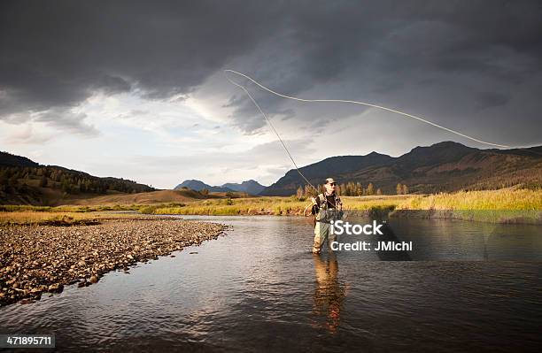 Fliegenfischen Von Regenbogenforelle Auf Der Westlichen Usafluss Stockfoto und mehr Bilder von Fliegenfischen