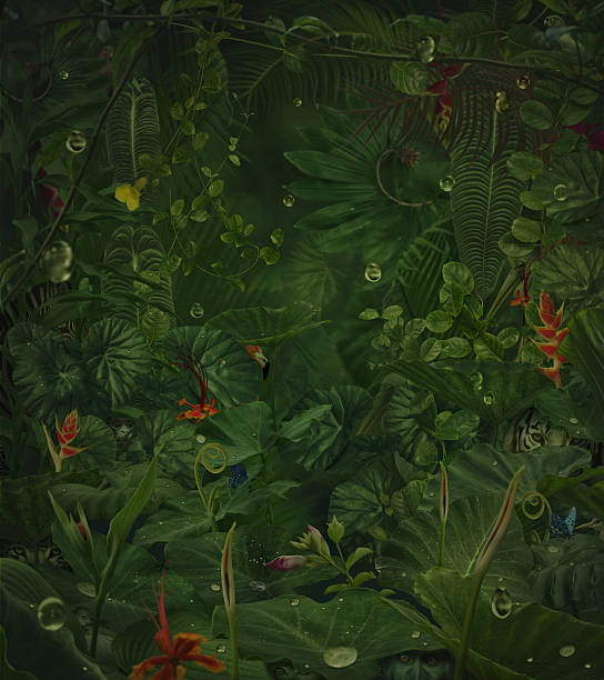 fata pioggia giungla con nascondi animali selvatici - tropical rainforest forest green abstract foto e immagini stock