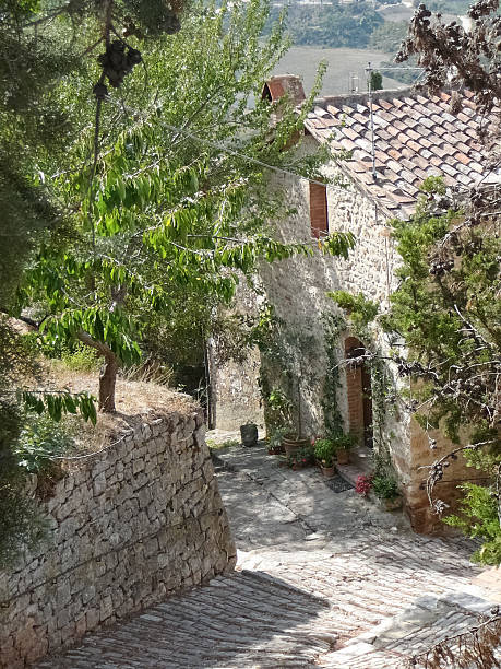 istock Rocca di Castiglione Orcia, Italy 471897151
