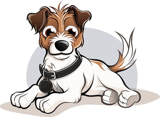 ilustrações de stock, clip art, desenhos animados e ícones de jack russell cão mulher - two tone