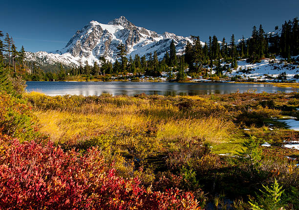 Mt Shuksan Beautiful scenic image of Mt Baker National Forest with Mt Baker reflecting in Picture lake in the Autumn.  Washington State, USA picture lake stock pictures, royalty-free photos & images