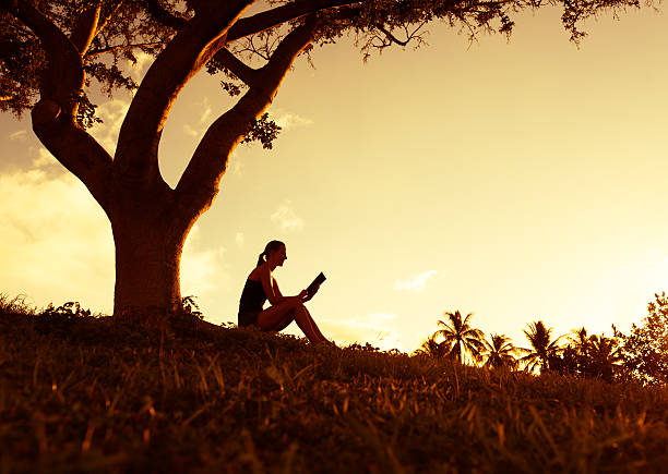 istock Silhouette of woman reading underneath a tree 471897676