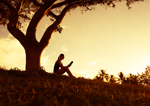 Woman reading book in the park.