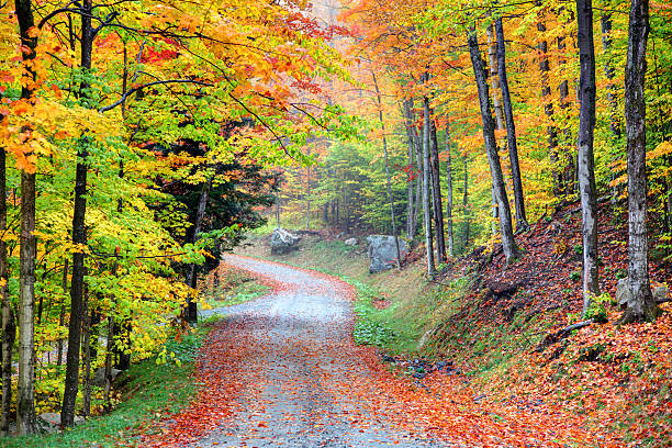 route d'automne dans le nord-est uni - northeast kingdom photos et images de collection