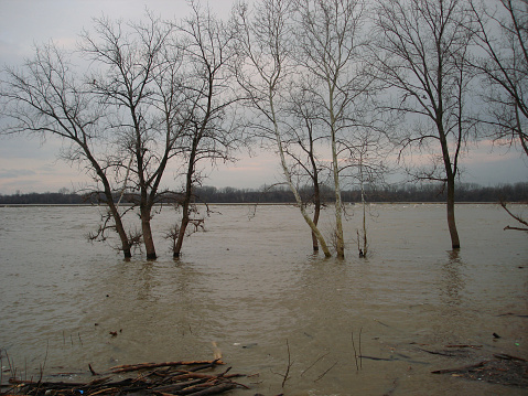 The Ohio River flooding the banks in Clarksville, IN