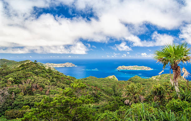 istock Ogasawara Islands - Tokyo (Japan) 471898679