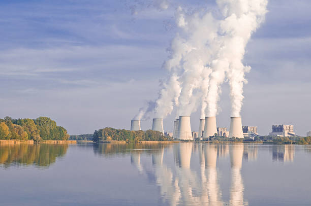 Brown coal power station for power generation