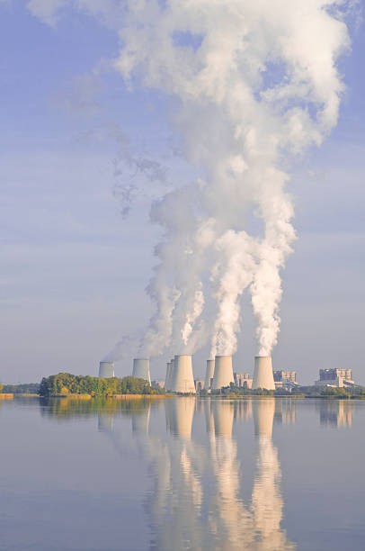 Brown coal power station for power generation