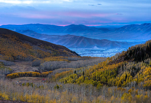 Daybreak über Espen in der Heber Valley – Foto