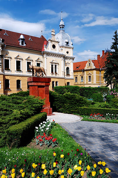 istock Brasov Cityhall, Romania 471902227