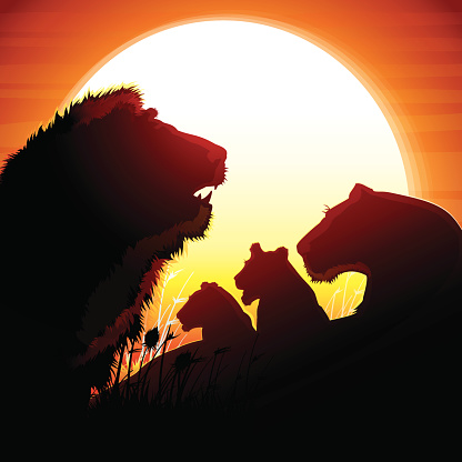 The Lion's pride silhouettes safari against hot sun.