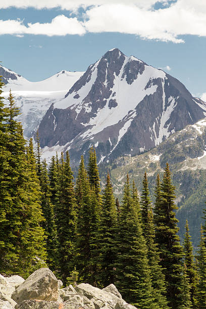 istock Mountain scene with glacier, rocks, ice and trees 471905180