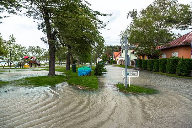 istock Flooded terrain in Balaton 471905312