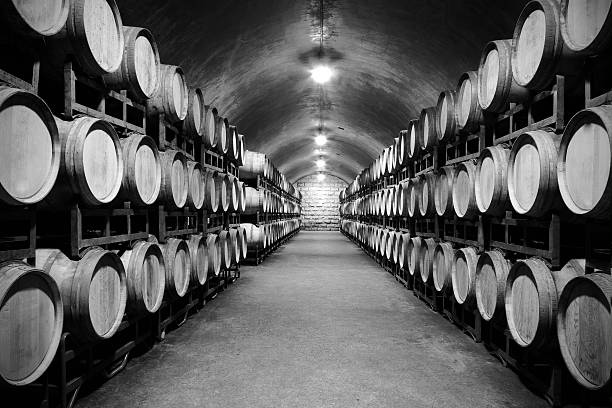 métro cave à vin avec barils en bois - old fashioned staircase antique antiquities photos et images de collection