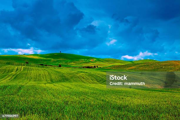 Campi Verdi In Toscana - Fotografie stock e altre immagini di Agricoltura - Agricoltura, Ambientazione esterna, Ambientazione tranquilla