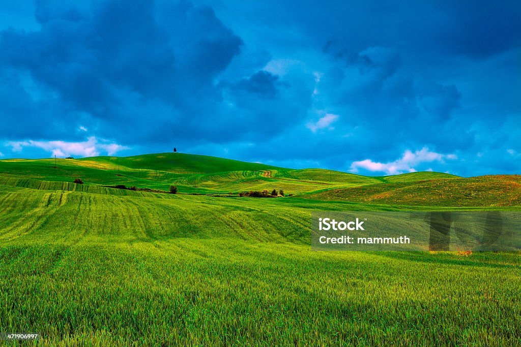 Зеленые поля в Тоскане - Стоковые фото Без людей роялти-фри