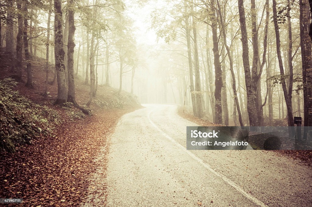 Autunno e strada nella foresta con Nebbia - Foto stock royalty-free di Abruzzo