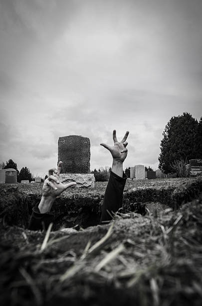 7,600+ Black And White Graveyard Stock Photos, Pictures & Royalty
