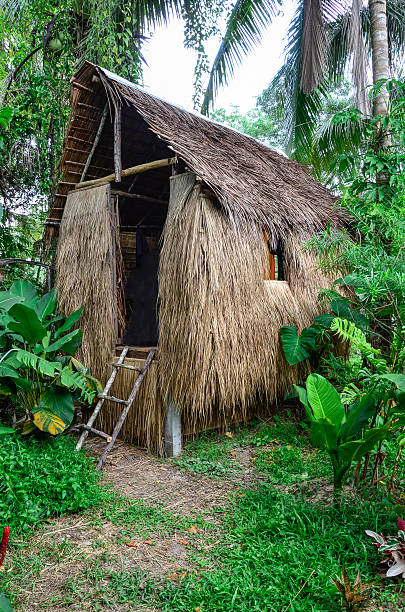 istock The little grass shack 471909338