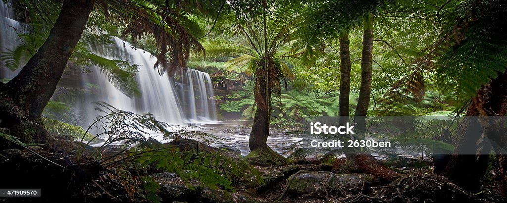 Russel falls, Tasmania. South Stock Photo