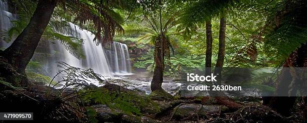 Russel Falls Tasmania Stock Photo - Download Image Now - South, Tasmania, Falling