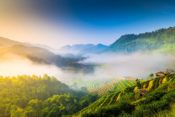 istock Beautiful sunshine at misty morning mountains . 471909735