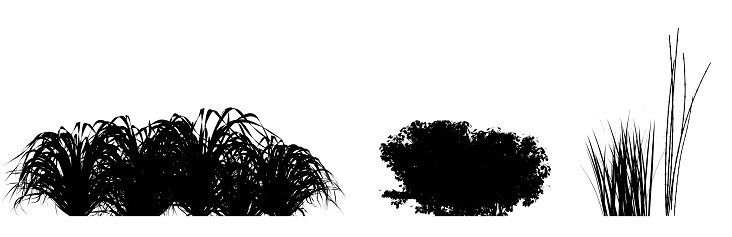 illustration: various brushes in silhouette black