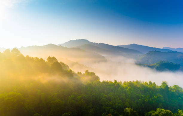 hermoso sol a misty mañana a las montañas. - landscape green tree hill fotografías e imágenes de stock