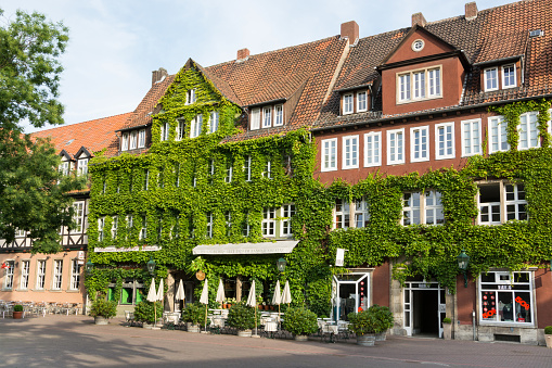 Hannover, Germany - July 24, 2013: House covered with green ivy, Ballhofplatz, old town of Hannover, Lower Saxony, Germany.