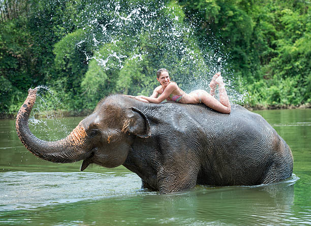 istock Woman bathing with an Elephant 471911795