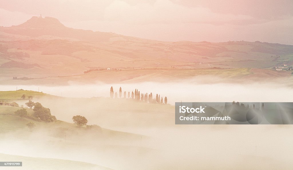 Niebla de la mañana en Toscana - Foto de stock de Aire libre libre de derechos