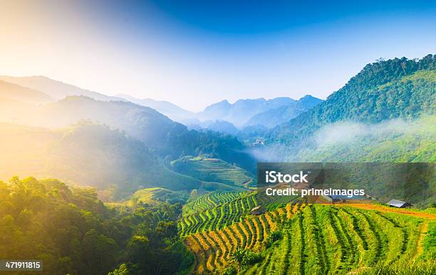 美しい日光山霧の朝に - かすみのストックフォトや画像を多数ご用意 - かすみ, アジア大陸, カラフル