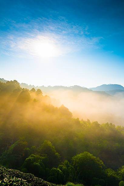 istock Beautiful sunshine at misty morning mountains . 471912923