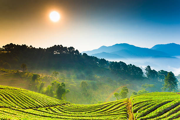 istock Beautiful sunshine at misty morning mountains . 471913605