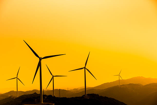 wind turbine and electrical towers on sunset