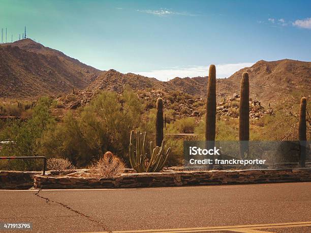 Foto de Arizona De Cactus Saguaro National Park e mais fotos de stock de Arbusto - Arbusto, Areia, Arizona