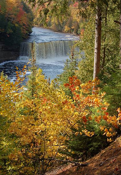 istock Tahquamenon Falls, Michigan 471913853