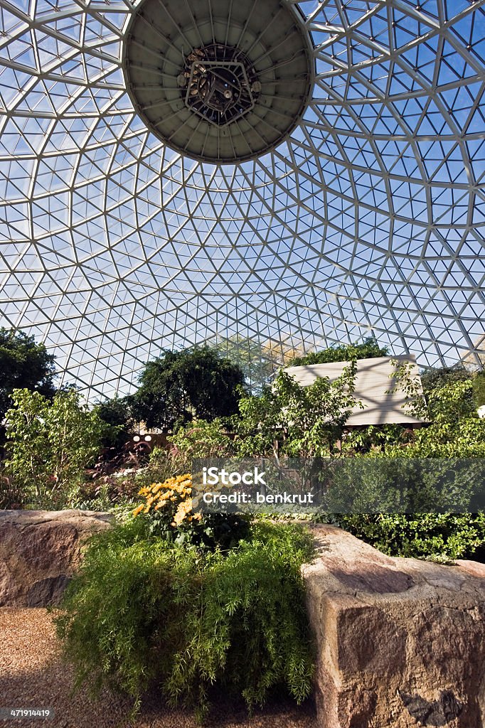 Inside the Dome Inside the Dome Botanic Garden in Milwaukee. Architectural Dome Stock Photo