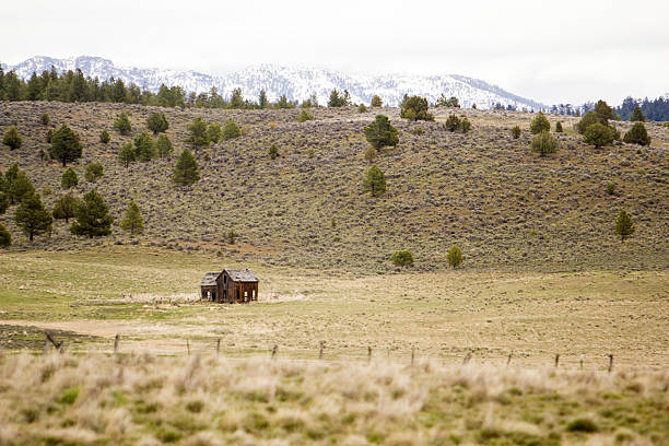 Photo of Old homestead in meadow backed by snowpeaked Eastern Oregon mountains