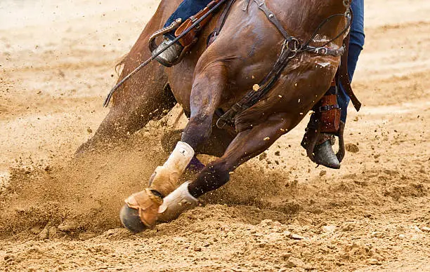 Sorrel horse makes a sharp turn in the sand.  