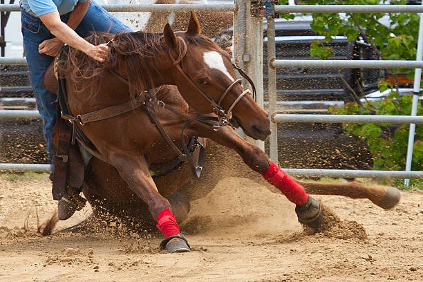 istock Falling Horse and Rider 471916127