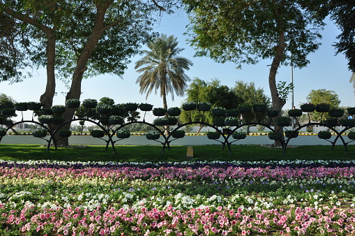 Al Ain, UAE - December 26, 2011: Al Ain Paradise Gardens in the UAE. It holds the Guinness World Record for the most hanging baskets, having 2,968 in total.