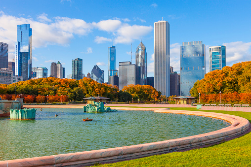 Chicago skyline with lush autumn foliage of Grant Park, Illinois