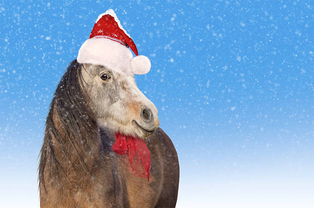 istock Horse. Saint Nicholas cap. Christmas 471919513