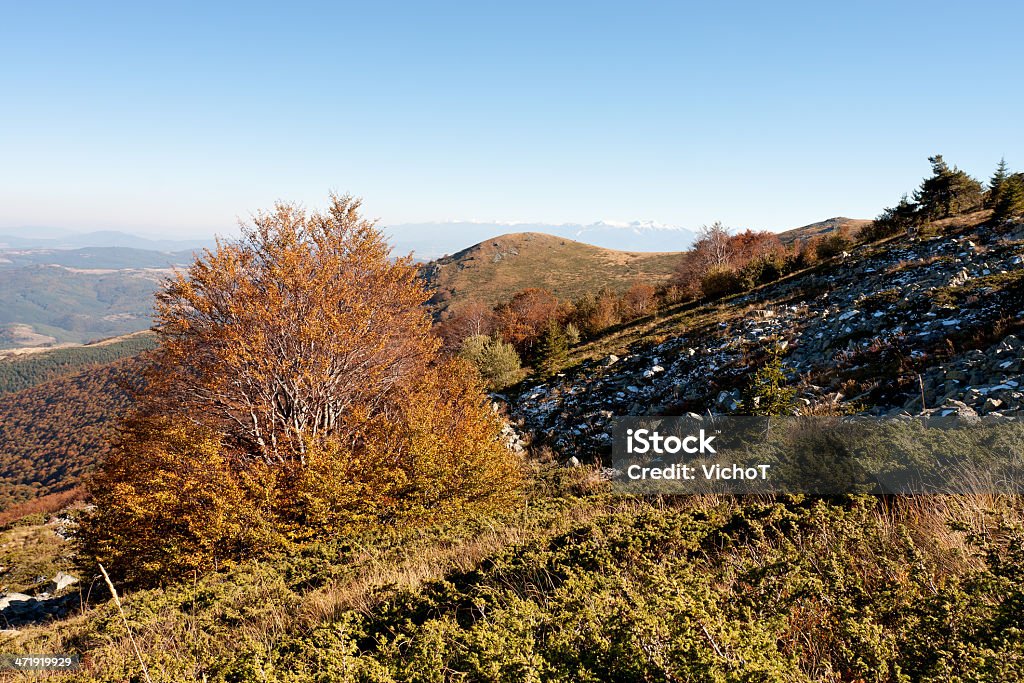 De otoño vista - Foto de stock de Aire libre libre de derechos